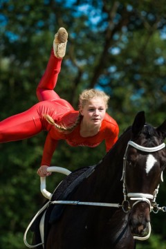 Reiten